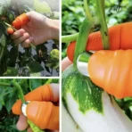 Silicone Finger Protector & Vegetable Cutter