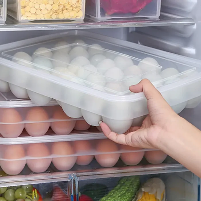 Smart 34 Grid Egg Storage Box | Kitchen Food Storage & Dispenser for Home & Office